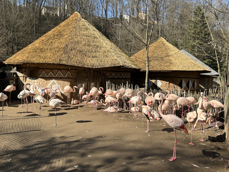 Jarní prázdniny v Zoo Jihlava