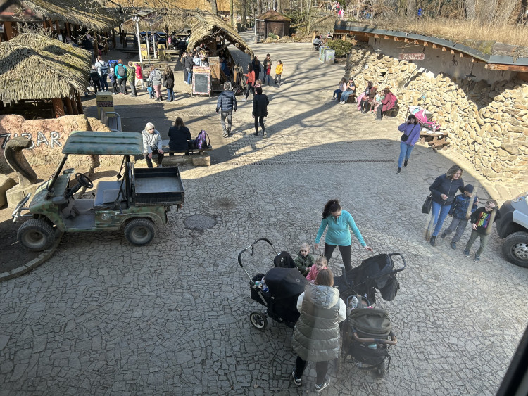 Jarní prázdniny v Zoo Jihlava