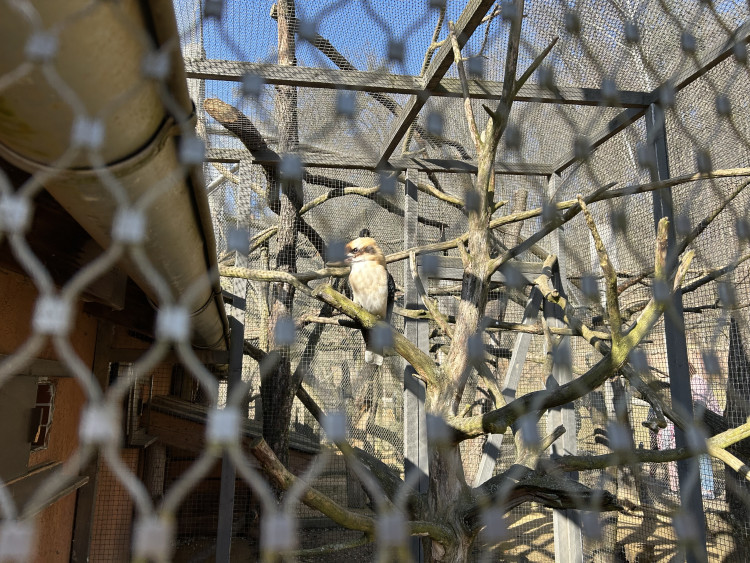 Jarní prázdniny v Zoo Jihlava