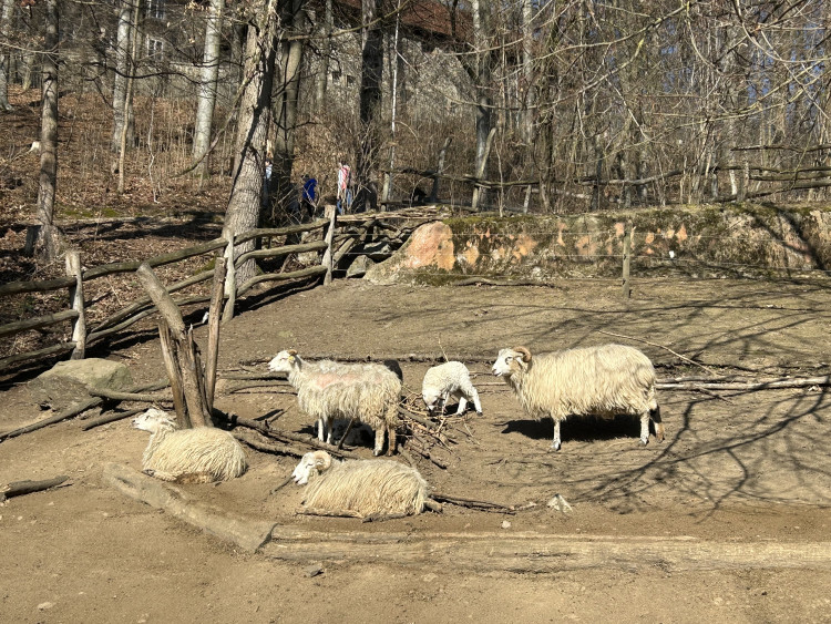 Jarní prázdniny v Zoo Jihlava