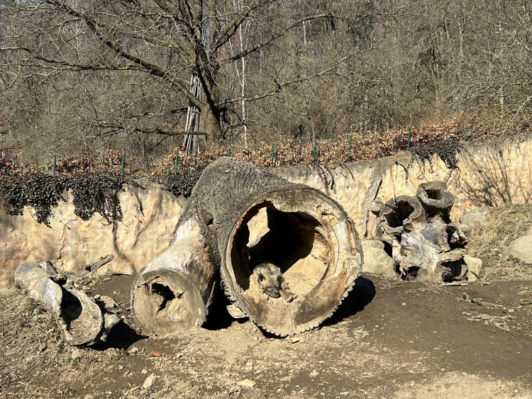 Jarní prázdniny v Zoo Jihlava