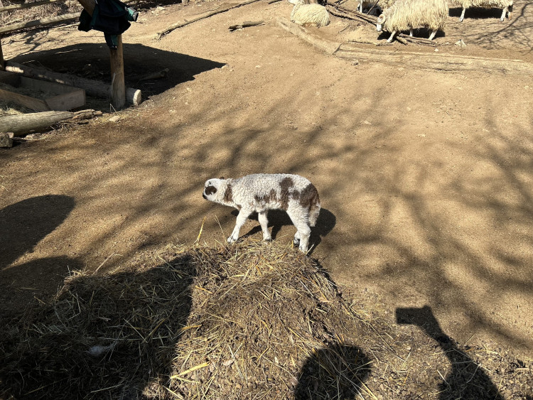 Jarní prázdniny v Zoo Jihlava