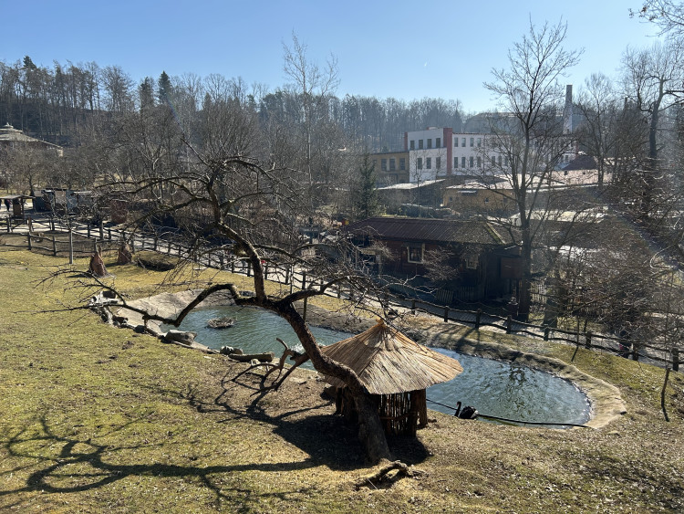 Jarní prázdniny v Zoo Jihlava