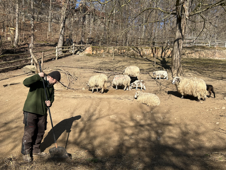 Jarní prázdniny v Zoo Jihlava