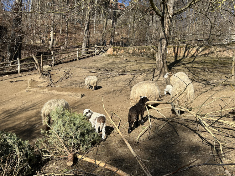 Jarní prázdniny v Zoo Jihlava
