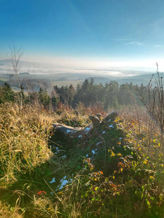 FOTOGALERIE: Nenáročný výlet v okolí Svébohova s rozhlednou a vyhlídkou