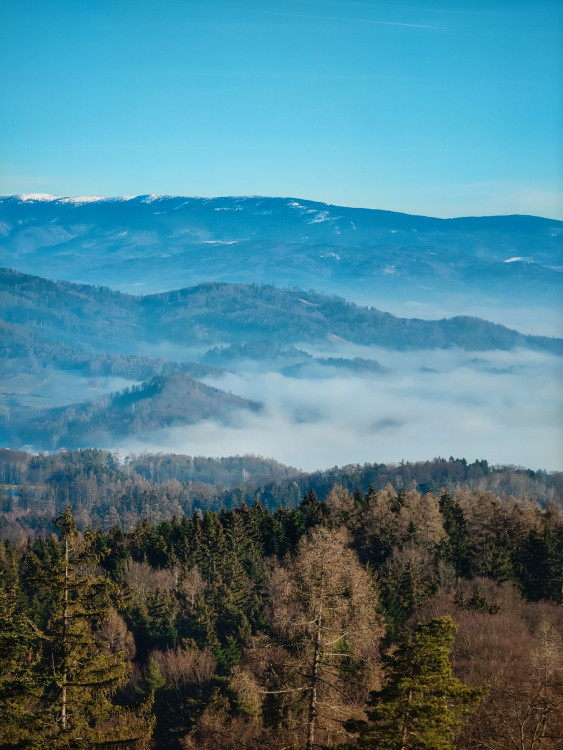 FOTOGALERIE: Nenáročný výlet v okolí Svébohova s rozhlednou a vyhlídkou