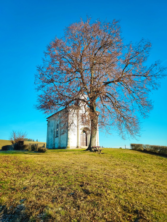 FOTOGALERIE: Nenáročný výlet v okolí Svébohova s rozhlednou a vyhlídkou