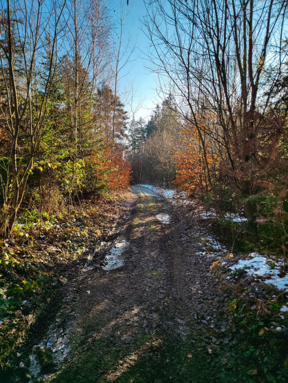 FOTOGALERIE: Nenáročný výlet v okolí Svébohova s rozhlednou a vyhlídkou