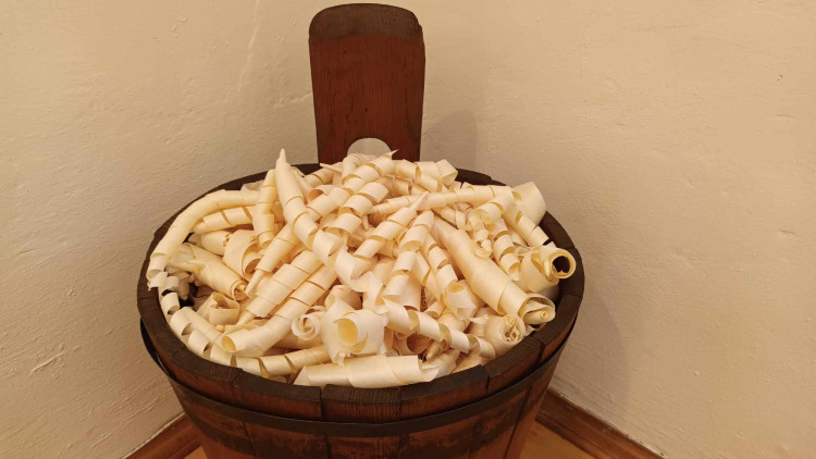 FOTOGALERIE: V přerovském muzeu vystavují studenti tovačovské řezbářské školy