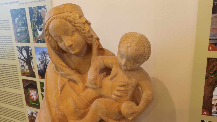 FOTOGALERIE: V přerovském muzeu vystavují studenti tovačovské řezbářské školy