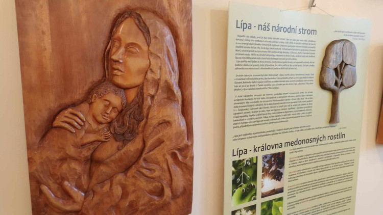 FOTOGALERIE: V přerovském muzeu vystavují studenti tovačovské řezbářské školy