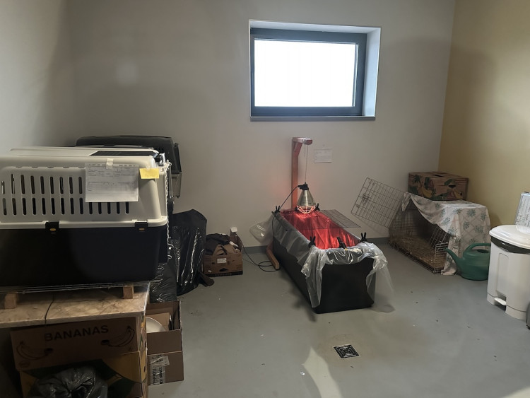 FOTOGALERIE: Jezírko pro vydry, voliéra pro veverky. Podívejte se, jak to vypadá v nové záchranné stanici