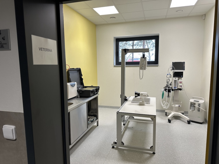 FOTOGALERIE: Jezírko pro vydry, voliéra pro veverky. Podívejte se, jak to vypadá v nové záchranné stanici