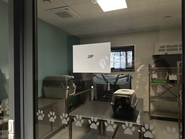 FOTOGALERIE: Jezírko pro vydry, voliéra pro veverky. Podívejte se, jak to vypadá v nové záchranné stanici