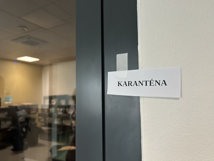 FOTOGALERIE: Jezírko pro vydry, voliéra pro veverky. Podívejte se, jak to vypadá v nové záchranné stanici