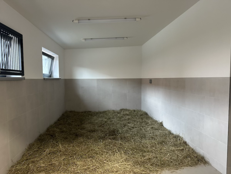 FOTOGALERIE: Jezírko pro vydry, voliéra pro veverky. Podívejte se, jak to vypadá v nové záchranné stanici