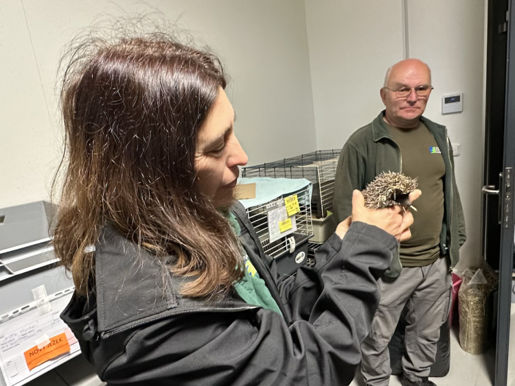 FOTOGALERIE: Jezírko pro vydry, voliéra pro veverky. Podívejte se, jak to vypadá v nové záchranné stanici