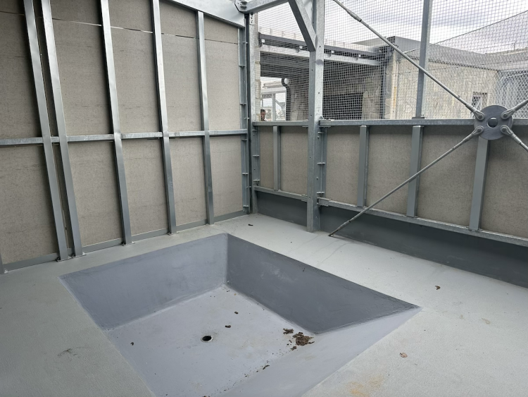 FOTOGALERIE: Jezírko pro vydry, voliéra pro veverky. Podívejte se, jak to vypadá v nové záchranné stanici