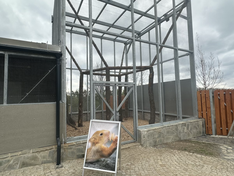 FOTOGALERIE: Jezírko pro vydry, voliéra pro veverky. Podívejte se, jak to vypadá v nové záchranné stanici