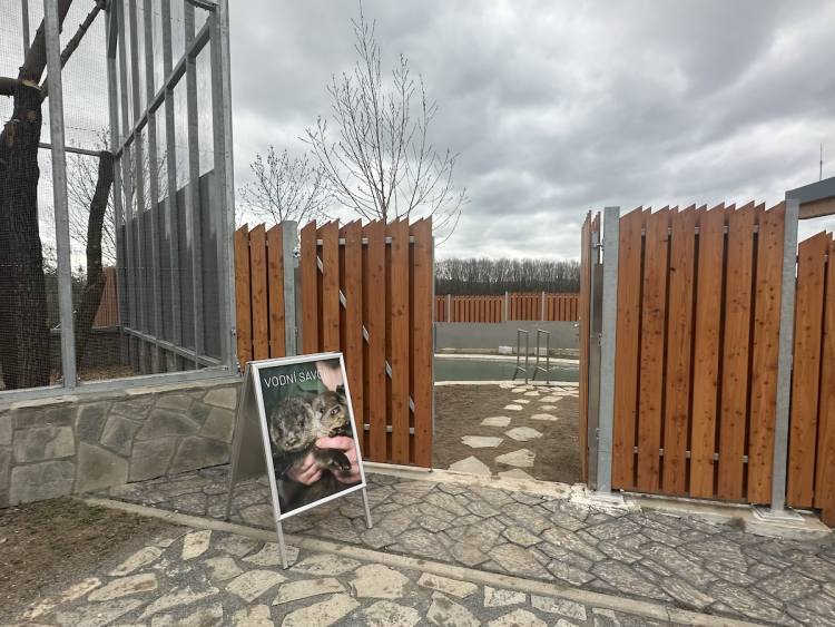 FOTOGALERIE: Jezírko pro vydry, voliéra pro veverky. Podívejte se, jak to vypadá v nové záchranné stanici