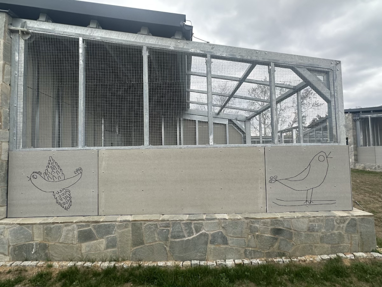 FOTOGALERIE: Jezírko pro vydry, voliéra pro veverky. Podívejte se, jak to vypadá v nové záchranné stanici