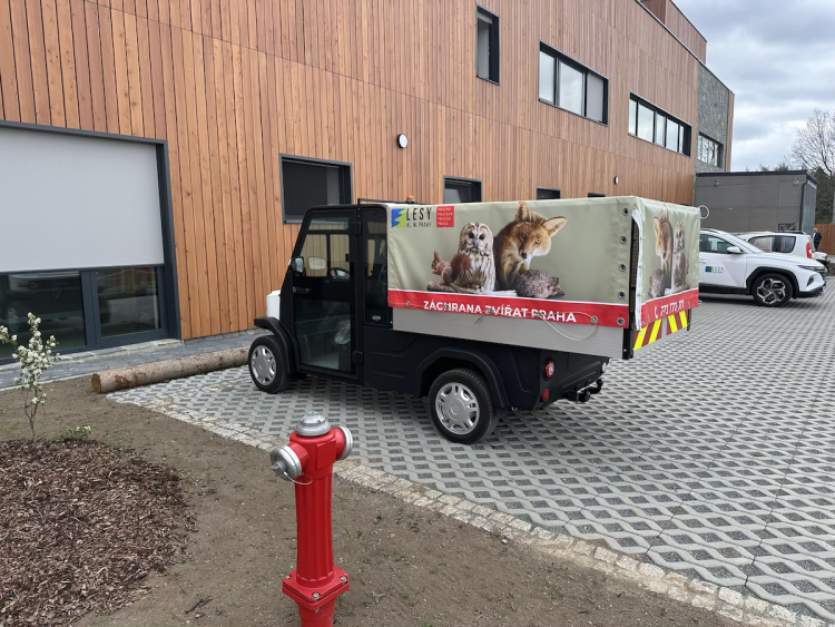 FOTOGALERIE: Jezírko pro vydry, voliéra pro veverky. Podívejte se, jak to vypadá v nové záchranné stanici