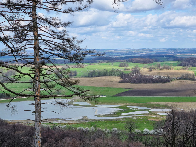 3-lokalni-biocentrum-s-vodni-nadrzi-mojmiruv-rybnik