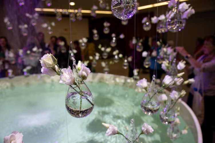 FOTOGALERIE: Jarní Flora 2025 nabízí nejen unikátní hlavní expozici