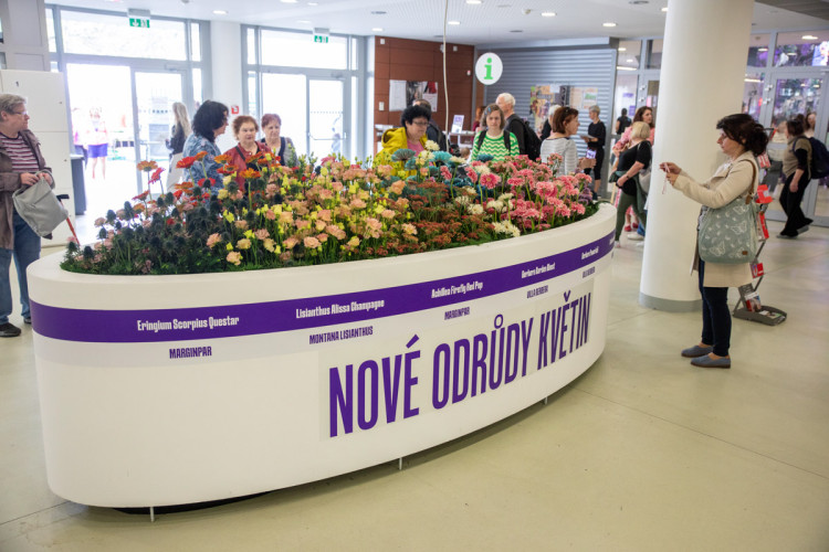 FOTOGALERIE: Jarní Flora 2025 nabízí nejen unikátní hlavní expozici