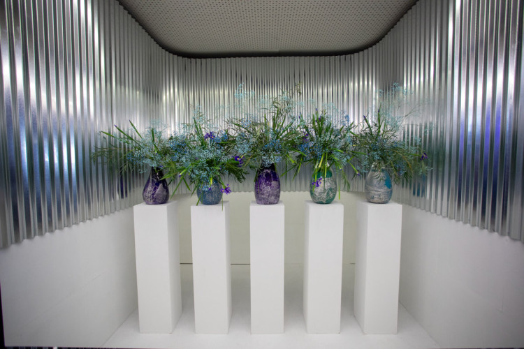 FOTOGALERIE: Jarní Flora 2025 nabízí nejen unikátní hlavní expozici