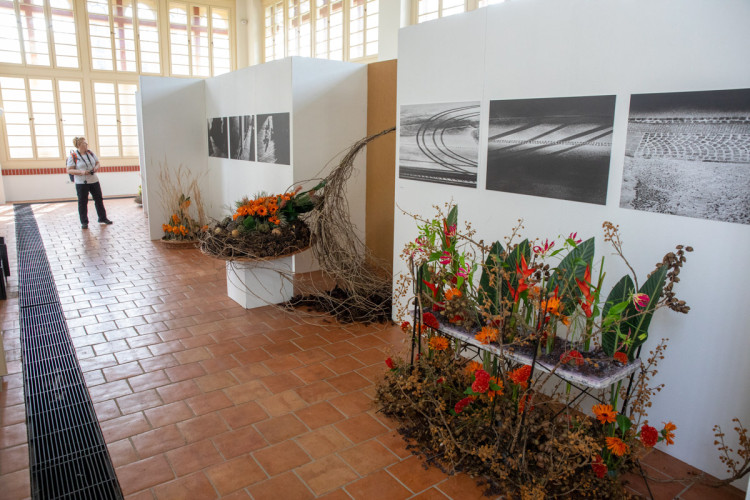 FOTOGALERIE: Jarní Flora 2025 nabízí nejen unikátní hlavní expozici