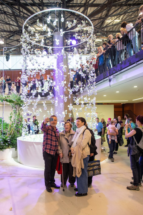 FOTOGALERIE: Jarní Flora 2025 nabízí nejen unikátní hlavní expozici