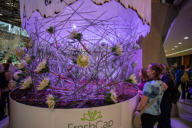 FOTOGALERIE: Jarní Flora 2025 nabízí nejen unikátní hlavní expozici