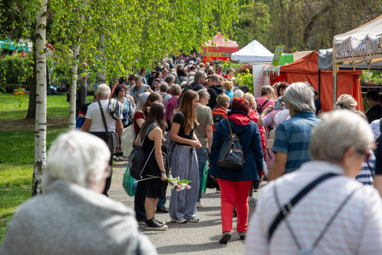 FOTOGALERIE: Jarní Flora 2025 nabízí nejen unikátní hlavní expozici