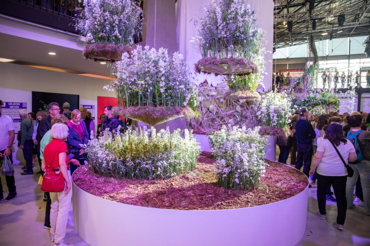 FOTOGALERIE: Jarní Flora 2025 nabízí nejen unikátní hlavní expozici