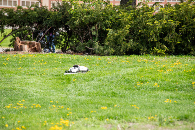 FOTOGALERIE: Jarní Flora 2025 nabízí nejen unikátní hlavní expozici