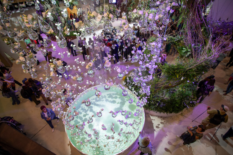 FOTOGALERIE: Jarní Flora 2025 nabízí nejen unikátní hlavní expozici