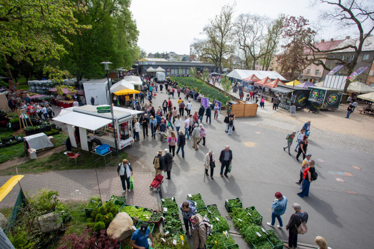 FOTOGALERIE: Jarní Flora 2025 nabízí nejen unikátní hlavní expozici