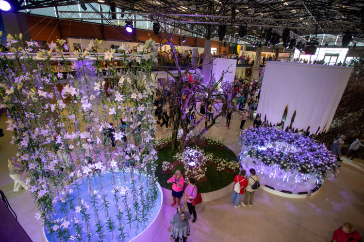 FOTOGALERIE: Jarní Flora 2025 nabízí nejen unikátní hlavní expozici