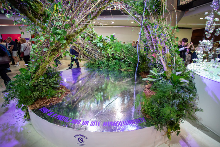 FOTOGALERIE: Jarní Flora 2025 nabízí nejen unikátní hlavní expozici