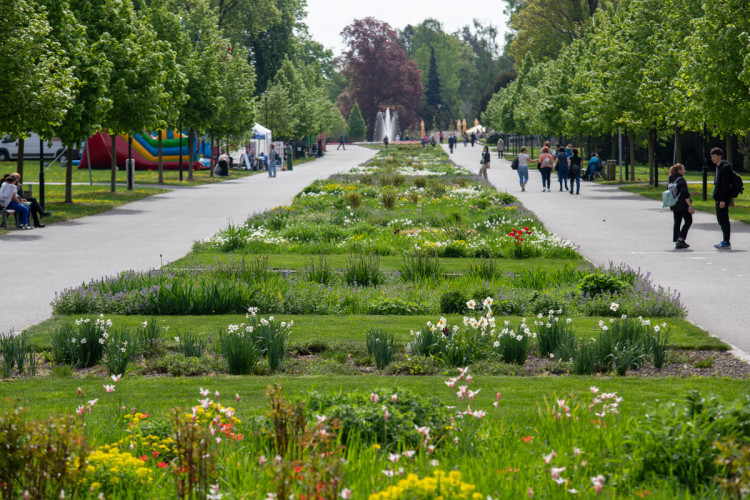FOTOGALERIE: Jarní Flora 2025 nabízí nejen unikátní hlavní expozici
