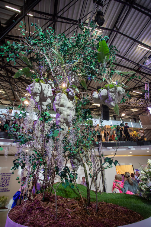 FOTOGALERIE: Jarní Flora 2025 nabízí nejen unikátní hlavní expozici