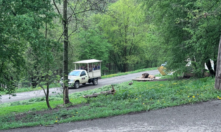 GALERIE: Návštěva prezidenta Petra Pavla v Královéhradeckém kraji (duben 2025)