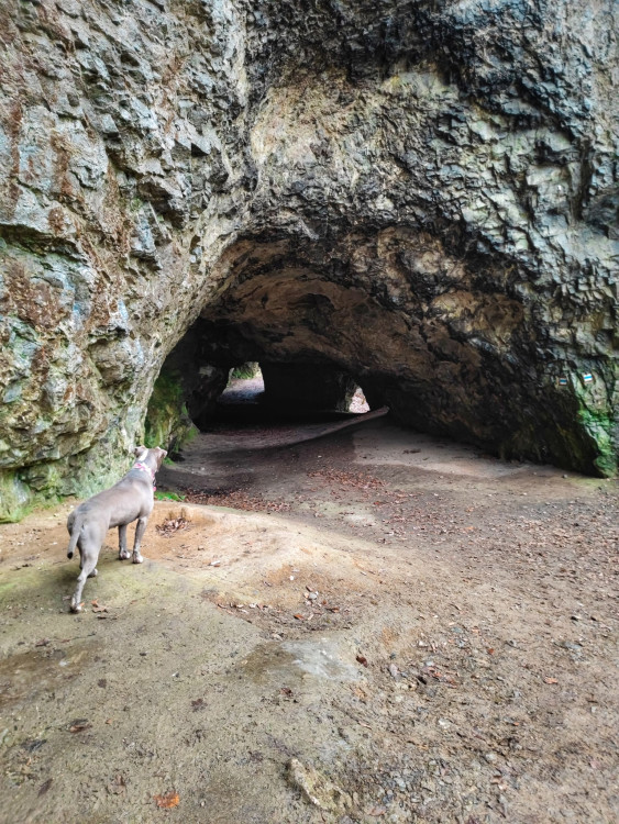 FOTOGALERIE: Adamov na Blanensku. Výhledy z rozhledny, několik jeskyní, historie železářství