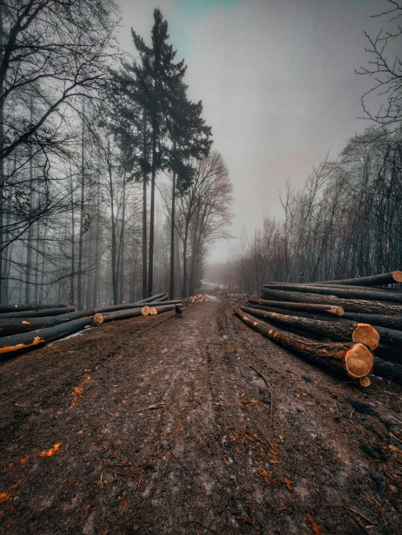 FOTOGALERIE: Adamov na Blanensku. Výhledy z rozhledny, několik jeskyní, historie železářství