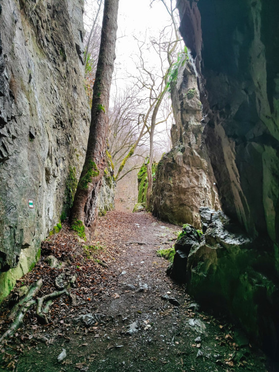 FOTOGALERIE: Adamov na Blanensku. Výhledy z rozhledny, několik jeskyní, historie železářství