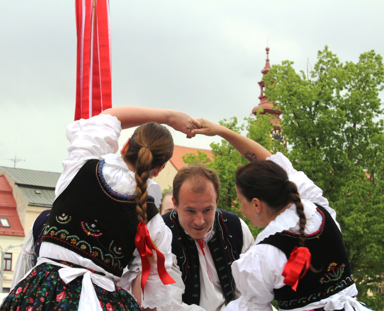 Májové slavnosti a zaplétání máje v Jihlavě