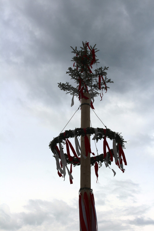 Májové slavnosti a zaplétání máje v Jihlavě