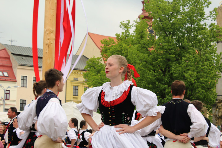 Májové slavnosti a zaplétání máje v Jihlavě